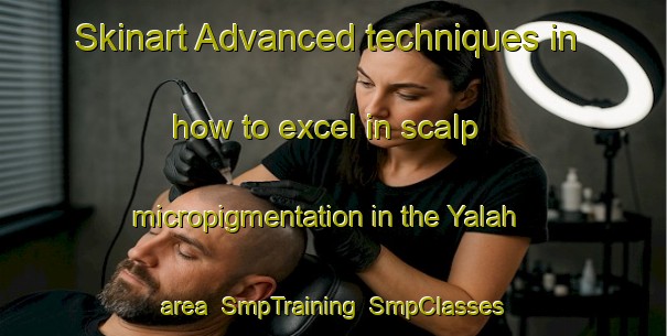 Skinart Advanced techniques in how to excel in scalp micropigmentation in the Yalah area | SmpTraining | SmpClasses | SkinartTraining-United Arab Emirates