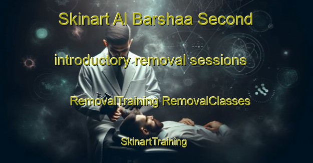 Skinart Al Barshaa Second introductory removal sessions | #RemovalTraining #RemovalClasses #SkinartTraining-United Arab Emirates