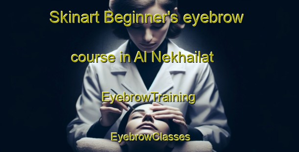 Skinart Beginner's eyebrow course in Al Nekhailat | EyebrowTraining | EyebrowClasses | SkinartTraining-United Arab Emirates