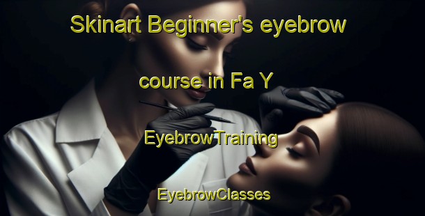Skinart Beginner's eyebrow course in Fa Y | EyebrowTraining | EyebrowClasses | SkinartTraining-United Arab Emirates