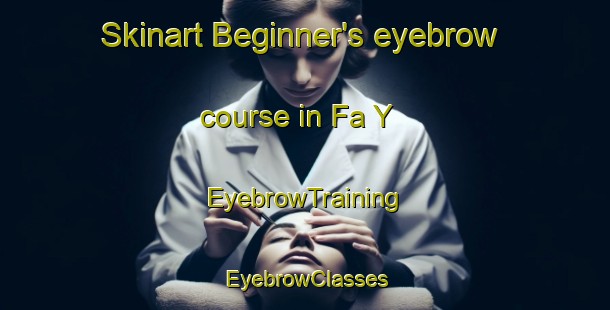 Skinart Beginner's eyebrow course in Fa Y | EyebrowTraining | EyebrowClasses | SkinartTraining-United Arab Emirates