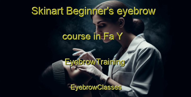 Skinart Beginner's eyebrow course in Fa Y | EyebrowTraining | EyebrowClasses | SkinartTraining-United Arab Emirates
