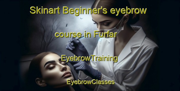Skinart Beginner's eyebrow course in Furfar | EyebrowTraining | EyebrowClasses | SkinartTraining-United Arab Emirates