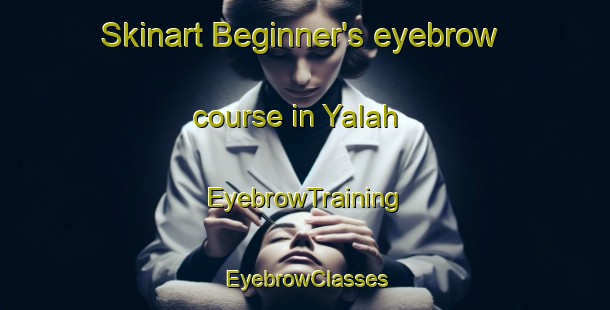 Skinart Beginner's eyebrow course in Yalah | EyebrowTraining | EyebrowClasses | SkinartTraining-United Arab Emirates