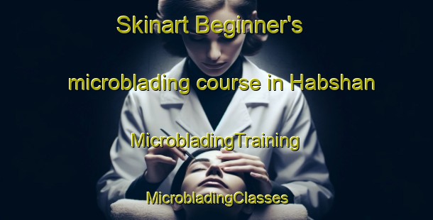 Skinart Beginner's microblading course in Habshan | #MicrobladingTraining #MicrobladingClasses #SkinartTraining-United Arab Emirates