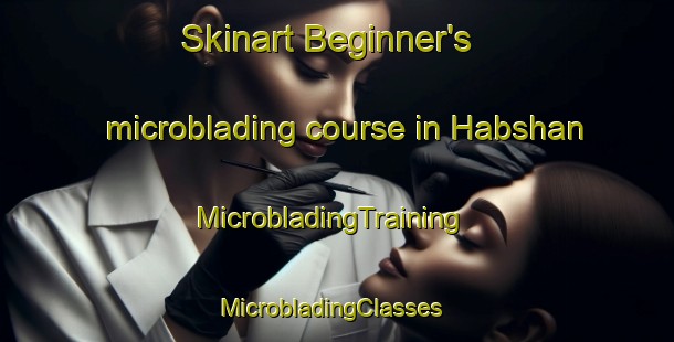 Skinart Beginner's microblading course in Habshan | MicrobladingTraining | MicrobladingClasses | SkinartTraining-United Arab Emirates