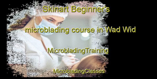 Skinart Beginner's microblading course in Wad Wid | #MicrobladingTraining #MicrobladingClasses #SkinartTraining-United Arab Emirates