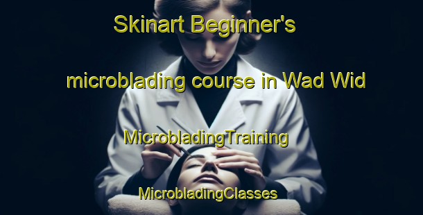 Skinart Beginner's microblading course in Wad Wid | MicrobladingTraining | MicrobladingClasses | SkinartTraining-United Arab Emirates