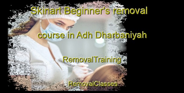 Skinart Beginner's removal course in Adh Dharbaniyah | RemovalTraining | RemovalClasses | SkinartTraining-United Arab Emirates