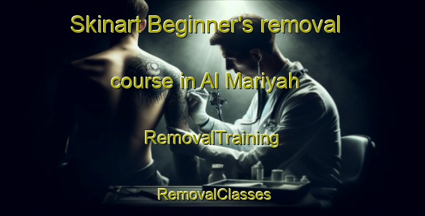 Skinart Beginner's removal course in Al Mariyah | RemovalTraining | RemovalClasses | SkinartTraining-United Arab Emirates