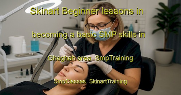Skinart Beginner lessons in becoming a basic SMP skills in Ghaghah area | SmpTraining | SmpClasses | SkinartTraining-United Arab Emirates