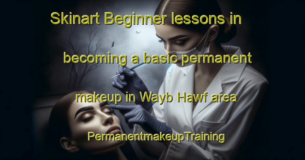 Skinart Beginner lessons in becoming a basic permanent makeup in Wayb Hawf area | PermanentmakeupTraining | PermanentmakeupClasses | SkinartTraining-United Arab Emirates