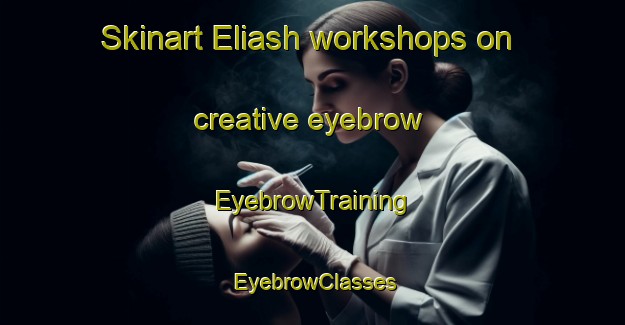 Skinart Eliash workshops on creative eyebrow | EyebrowTraining | EyebrowClasses | SkinartTraining-United Arab Emirates