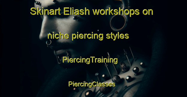 Skinart Eliash workshops on niche piercing styles | PiercingTraining | PiercingClasses | SkinartTraining-United Arab Emirates