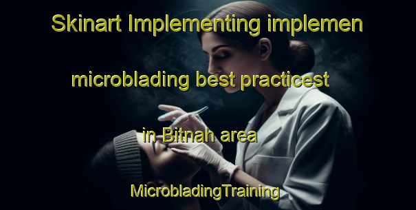 Skinart Implementing implemen microblading best practicest in Bitnah area | #MicrobladingTraining #MicrobladingClasses #SkinartTraining-United Arab Emirates