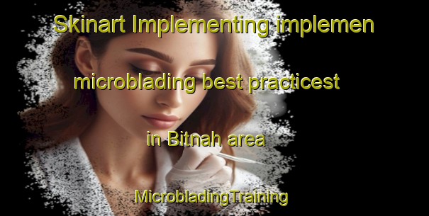 Skinart Implementing implemen microblading best practicest in Bitnah area | #MicrobladingTraining #MicrobladingClasses #SkinartTraining-United Arab Emirates