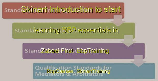 Skinart Introduction to start learning BBP essentials in Zabeel First | BbpTraining | BbpClasses | SkinartTraining-United Arab Emirates