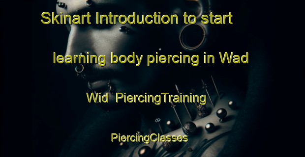 Skinart Introduction to start learning body piercing in Wad Wid | PiercingTraining | PiercingClasses | SkinartTraining-United Arab Emirates