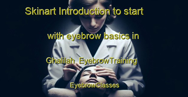 Skinart Introduction to start with eyebrow basics in Ghalilah | EyebrowTraining | EyebrowClasses | SkinartTraining-United Arab Emirates