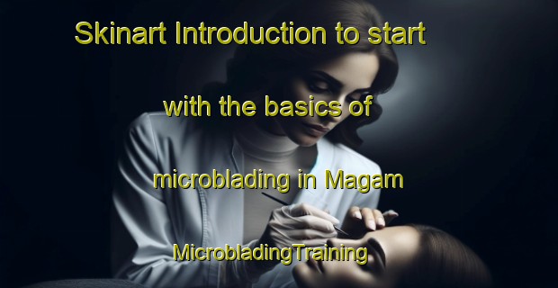 Skinart Introduction to start with the basics of microblading in Magam | MicrobladingTraining | MicrobladingClasses | SkinartTraining-United Arab Emirates