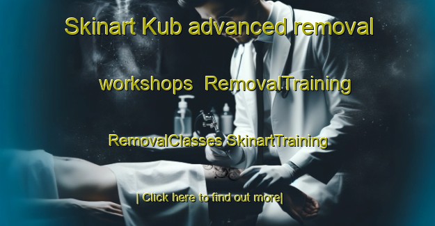 Skinart Kub advanced removal workshops | #RemovalTraining #RemovalClasses #SkinartTraining-United Arab Emirates