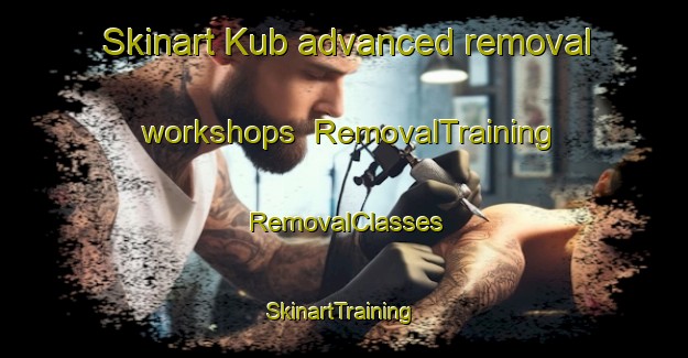 Skinart Kub advanced removal workshops | RemovalTraining | RemovalClasses | SkinartTraining-United Arab Emirates