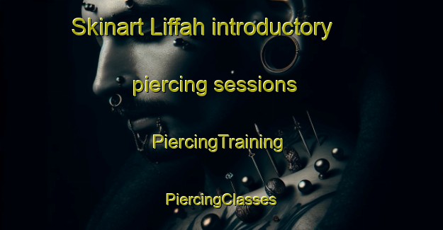 Skinart Liffah introductory piercing sessions | #PiercingTraining #PiercingClasses #SkinartTraining-United Arab Emirates