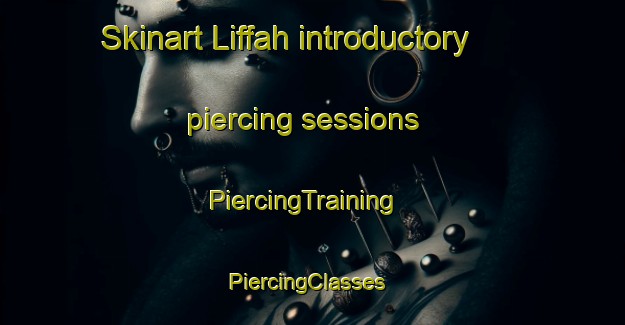 Skinart Liffah introductory piercing sessions | PiercingTraining | PiercingClasses | SkinartTraining-United Arab Emirates