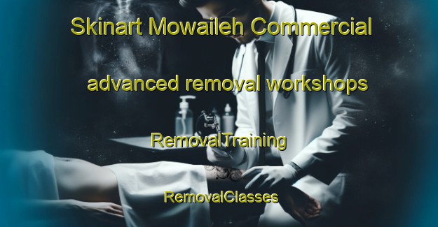 Skinart Mowaileh Commercial advanced removal workshops | RemovalTraining | RemovalClasses | SkinartTraining-United Arab Emirates