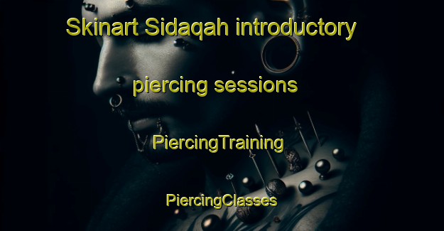 Skinart Sidaqah introductory piercing sessions | #PiercingTraining #PiercingClasses #SkinartTraining-United Arab Emirates