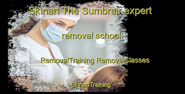 Skinart The Sumbrair expert removal school | #RemovalTraining #RemovalClasses #SkinartTraining-United Arab Emirates