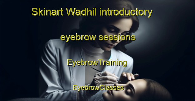 Skinart Wadhil introductory eyebrow sessions | EyebrowTraining | EyebrowClasses | SkinartTraining-United Arab Emirates