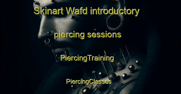 Skinart Wafd introductory piercing sessions | PiercingTraining | PiercingClasses | SkinartTraining-United Arab Emirates